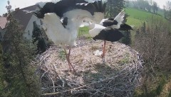 IMG_6908.jpeg