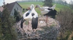 IMG_6911.jpeg
