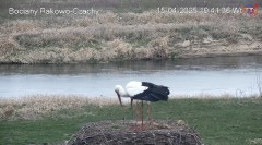 IMG_6939.jpeg