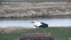 IMG_6940.jpeg