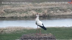 IMG_6941.jpeg