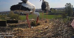 IMG_6902.jpeg