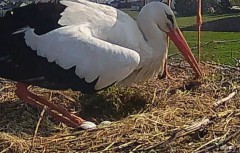 IMG_6903.jpeg