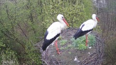 IMG_6947.jpeg