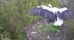 IMG_6951.jpeg