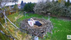 IMG_6956.jpeg