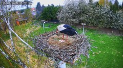 IMG_6957.jpeg