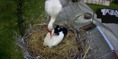 IMG_6971.jpeg