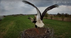 IMG_6993.jpeg