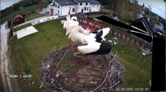 IMG_7007.jpeg