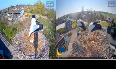 bandicam 2025-04-15 22-15-25-973.jpg