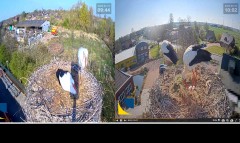 bandicam 2025-04-15 22-15-26-049.jpg