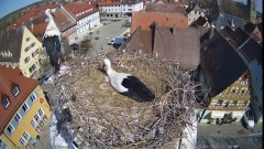 IMG_6363.jpeg