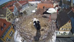 IMG_6376.jpeg