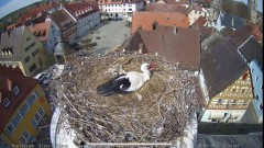 IMG_6385.jpeg