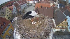 IMG_6396.jpeg
