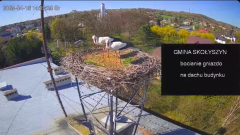 2025-04-16 22_07_10-[stimotion.pl] Bociany w Skołyszynie - YouTube - Maxthon.png
