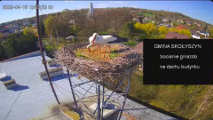 2025-04-16 22_07_45-[stimotion.pl] Bociany w Skołyszynie - YouTube - Maxthon.png