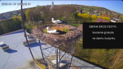 2025-04-16 22_08_04-[stimotion.pl] Bociany w Skołyszynie - YouTube - Maxthon.png