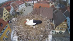 IMG_6477.jpeg