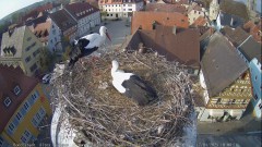 IMG_6514.jpeg