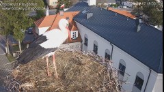 IMG_6515.jpeg