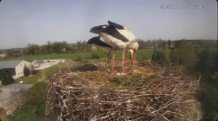 2025-04-17 22_30_51-Bociany - Raszków - YouTube - Maxthon.png