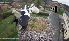 IMG_6626.jpeg