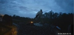 ScreenHunter_746 Apr. 18 16.53.jpg