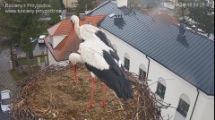 IMG_6565.jpeg