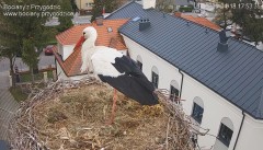 IMG_6613.jpeg