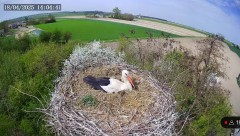 IMG_6601.jpeg