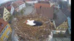 IMG_6564.jpeg