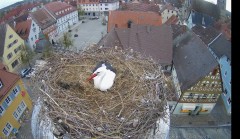 IMG_6615.jpeg