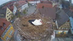 IMG_6634.jpeg