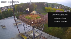 2025-04-18 14_28_17-[stimotion.pl] Bociany w Skołyszynie - YouTube - Maxthon.png