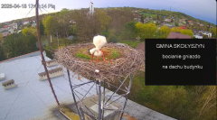 2025-04-18 20_58_52-[stimotion.pl] Bociany w Skołyszynie - YouTube - Maxthon.png