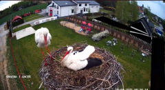 2025-04-18 14_32_02-GNIAZDO BOCIANIE PRZY OSP ŻELECHÓW - YouTube - Maxthon.png