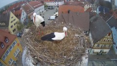 IMG_6680.jpeg