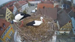 IMG_6681.jpeg