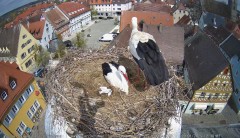 IMG_6751.jpeg