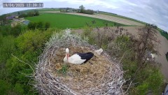 IMG_6755.jpeg