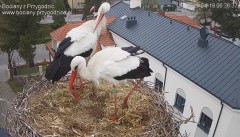 IMG_6667.jpeg