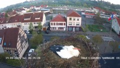 IMG_6663.jpeg