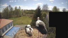 IMG_7610.jpeg