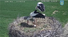 IMG_7710.jpeg