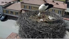 IMG_7735.jpeg