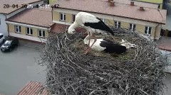 IMG_7758.jpeg