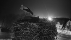 IMG_7516.jpeg