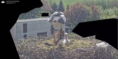 IMG_7682.jpeg